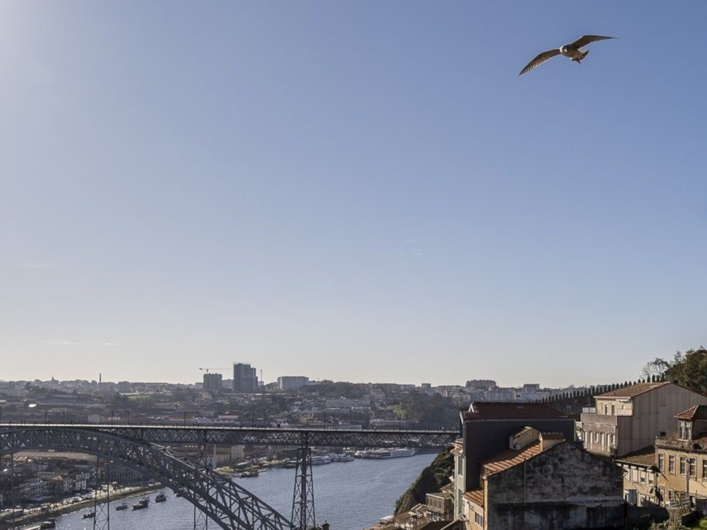 Porto integra projeto europeu de energia positiva