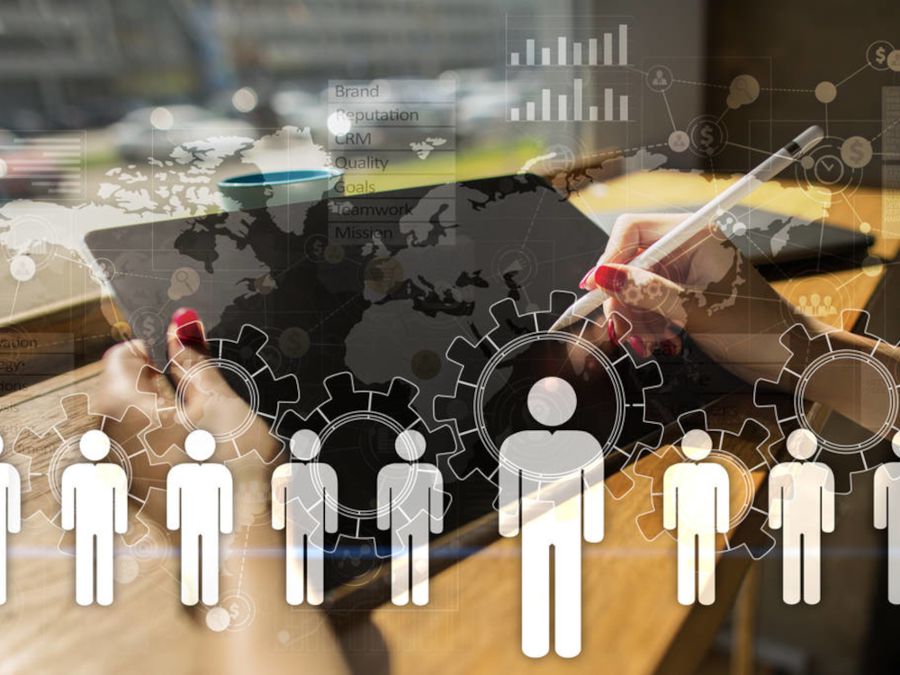 Desempregados passam a ter «mentor digital»