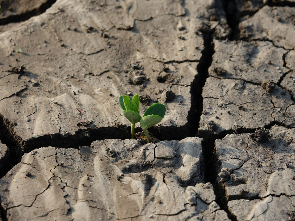 Investimento privado para mitigar alterações climáticas correspondeu a 0,55% do PIB da UE