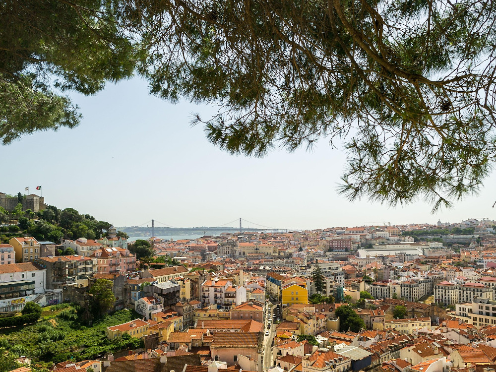 Leia mais sobre Energyear Portugal 2025 debate transição energética