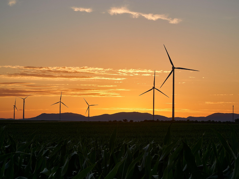 Mais de um terço das empresas do setor energético são do distrito de Lisboa