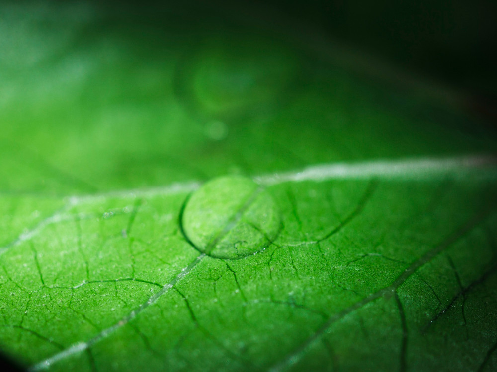 Atualização da área de Compras Públicas Ecológicas do portal eSPap