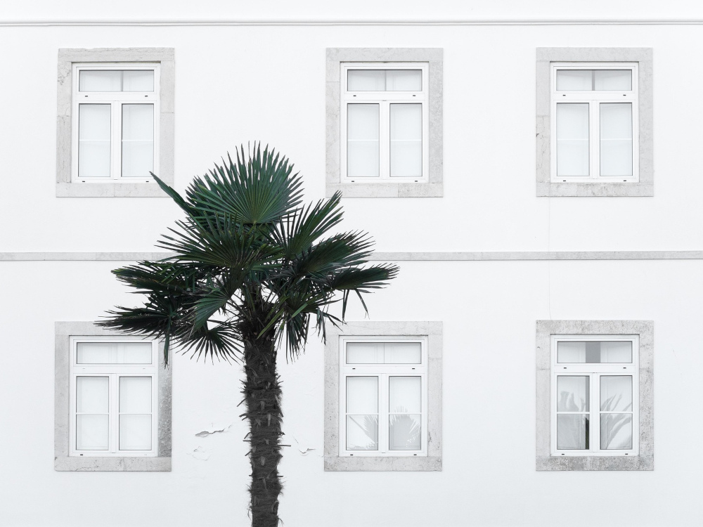 IVA na Construção: fique a par das novidades