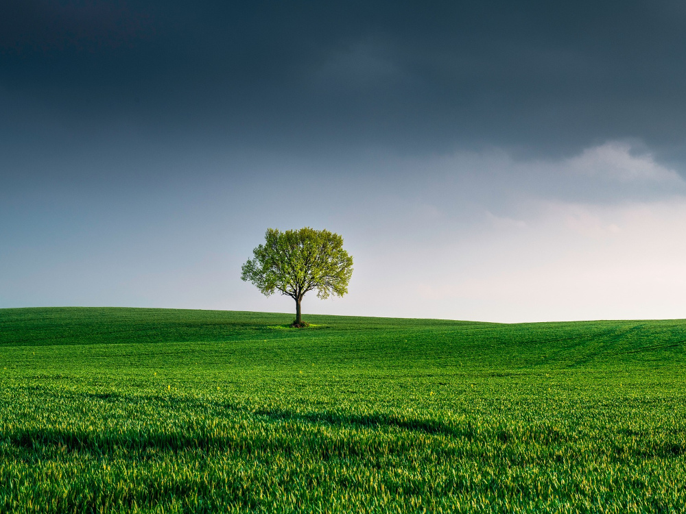 INE publica estatísticas do Estado do Ambiente