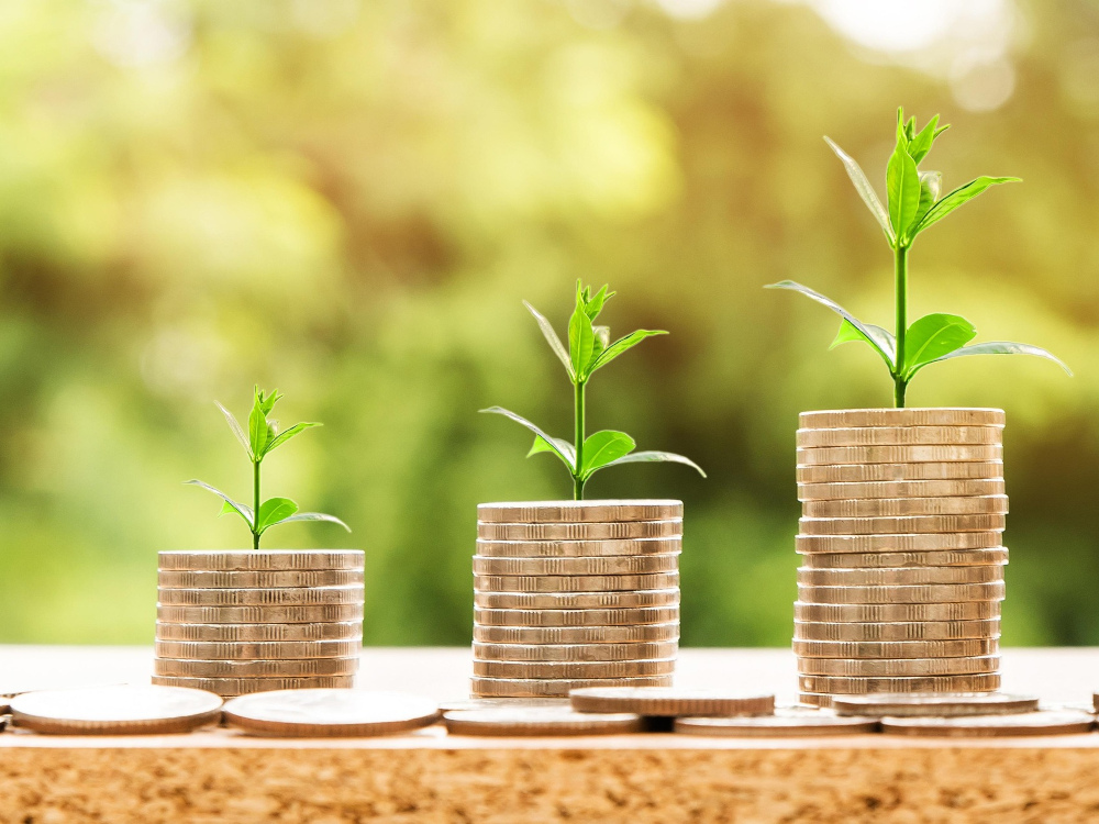 Inquéritos de conjuntura às empresas e aos consumidores