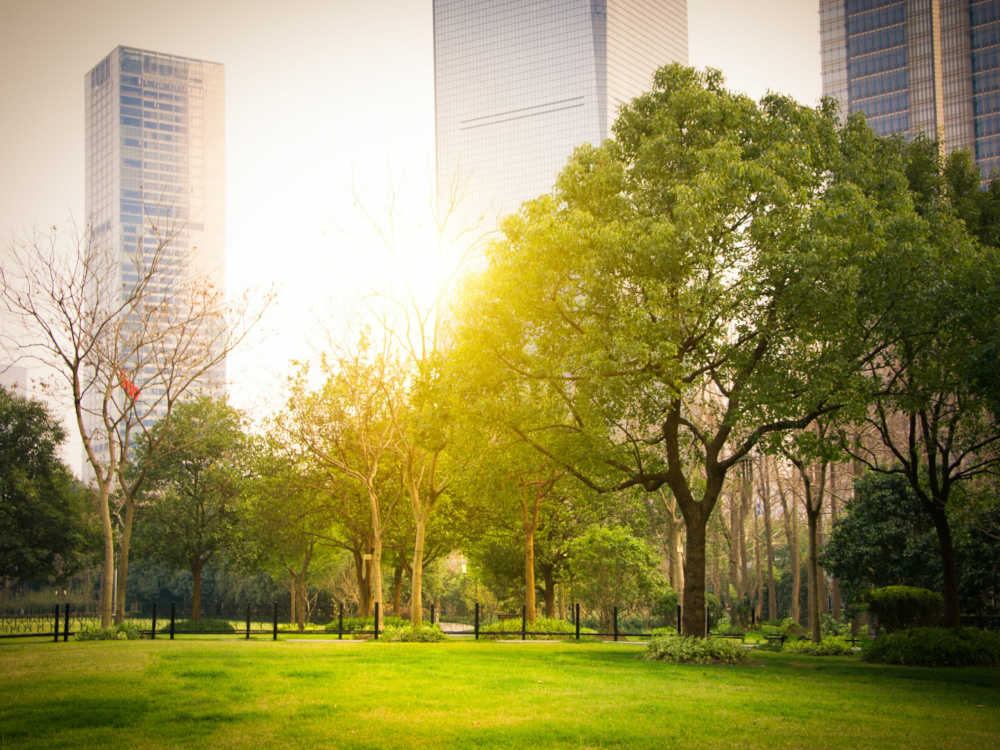 Leia mais sobre INEGI cria etiqueta para medir a eficiência energética das cidades