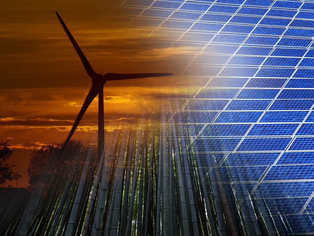 Fevereiro: eletricidade renovável supera os 77%