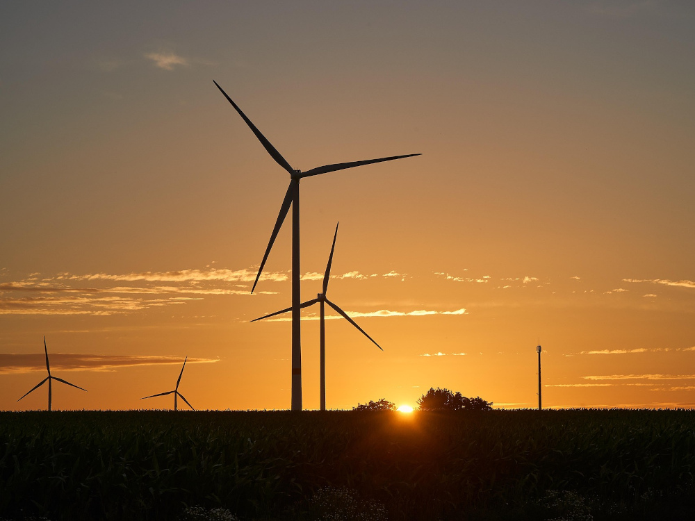 ADENE mobiliza municípios para nova fase da ação climática local rumo a 2050