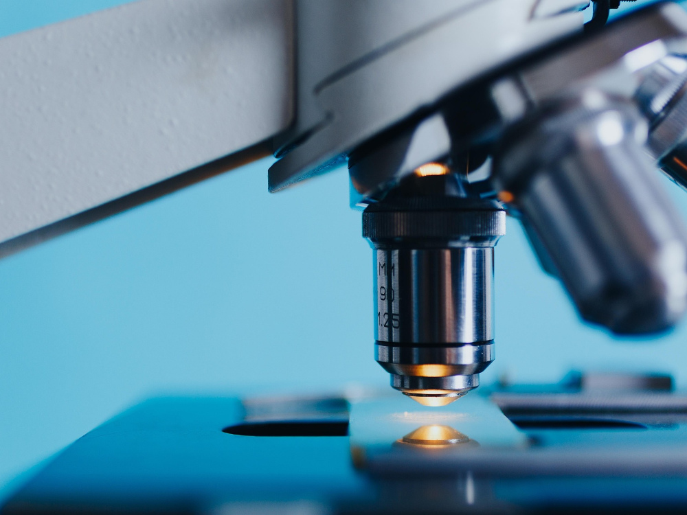 Leia mais sobre Semana da Bioengenharia do Instituto Superior Técnico - SBE