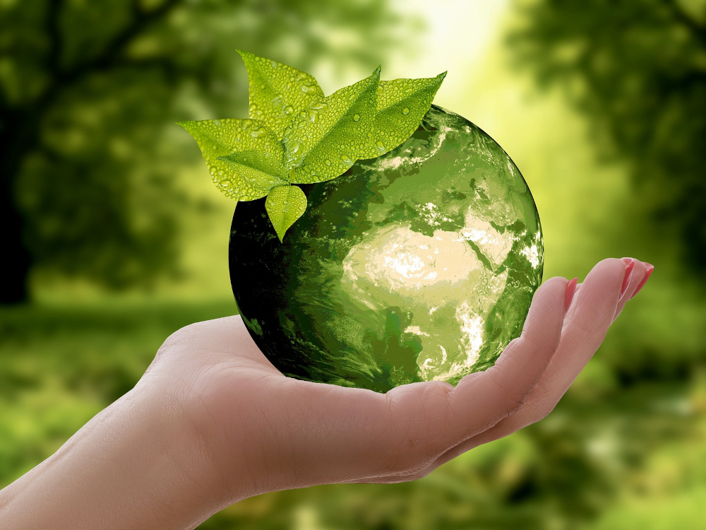 Sustentabilidade: Comissão Europeia lança consulta pública