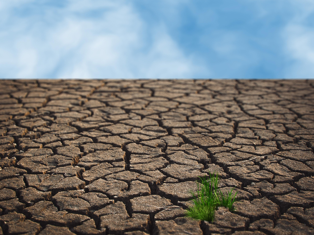 Leia mais sobre Campanha ibérica destaca o impacto das alterações climáticas nos locais de trabalho