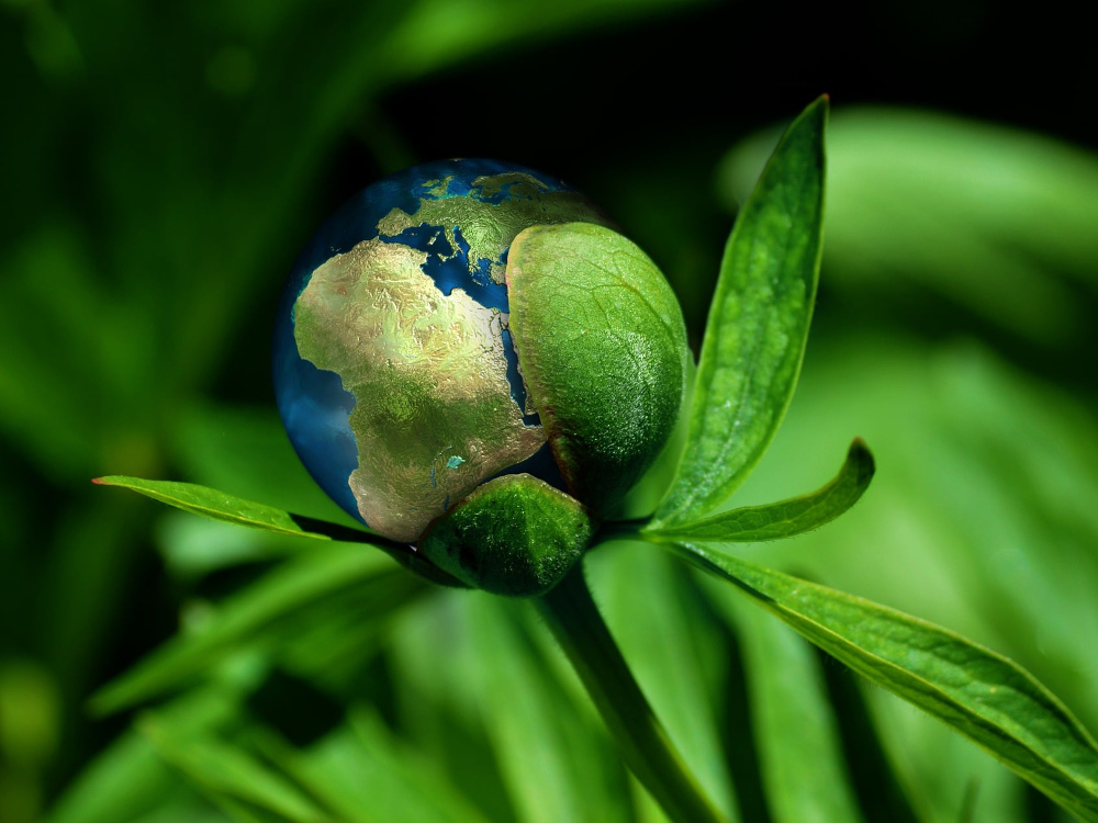 planeta terra a sair de uma planta como se fosse uma flor