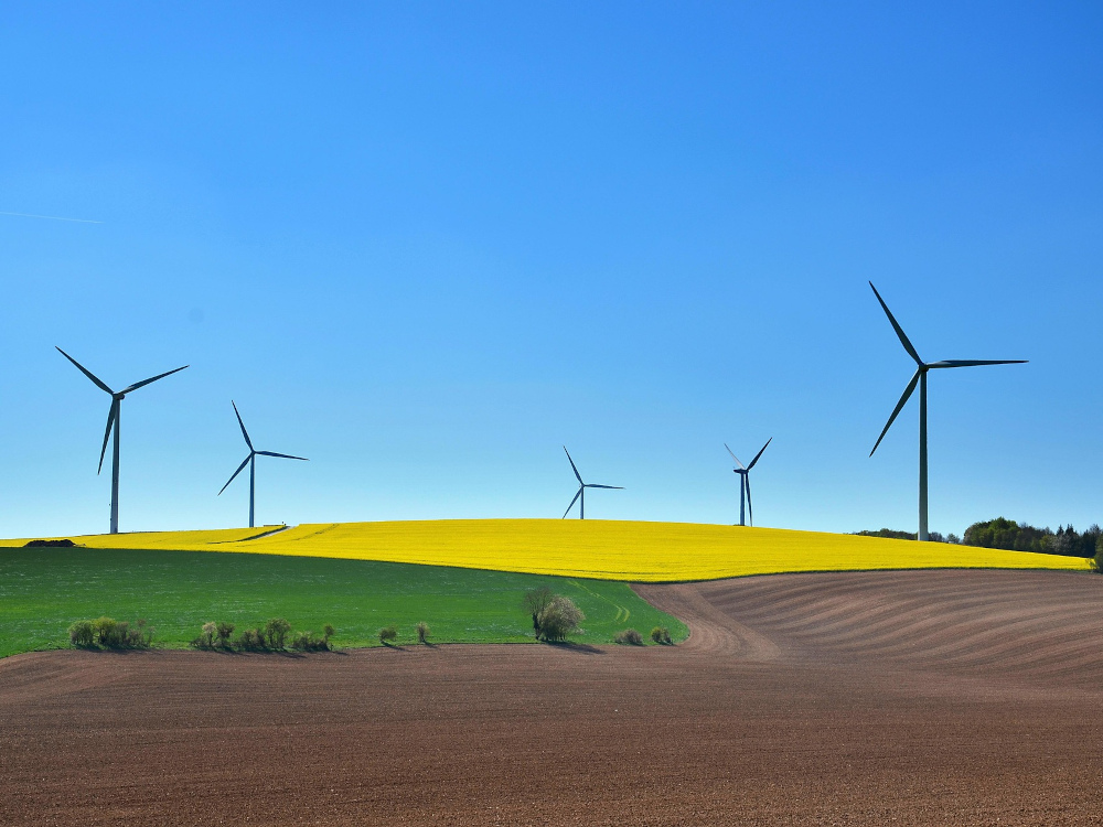 eólicas em vários terrenos, amarelo, verde e castanho